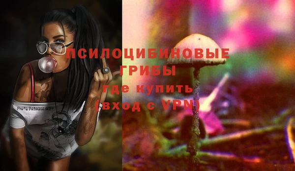 МДМА Арсеньев