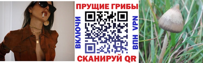 Галлюциногенные грибы Psilocybine cubensis  купить закладку  OMG как зайти  Артёмовский 